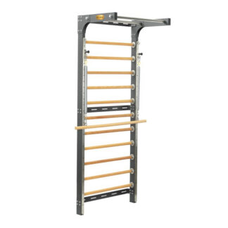 Metal Wall Ladder
