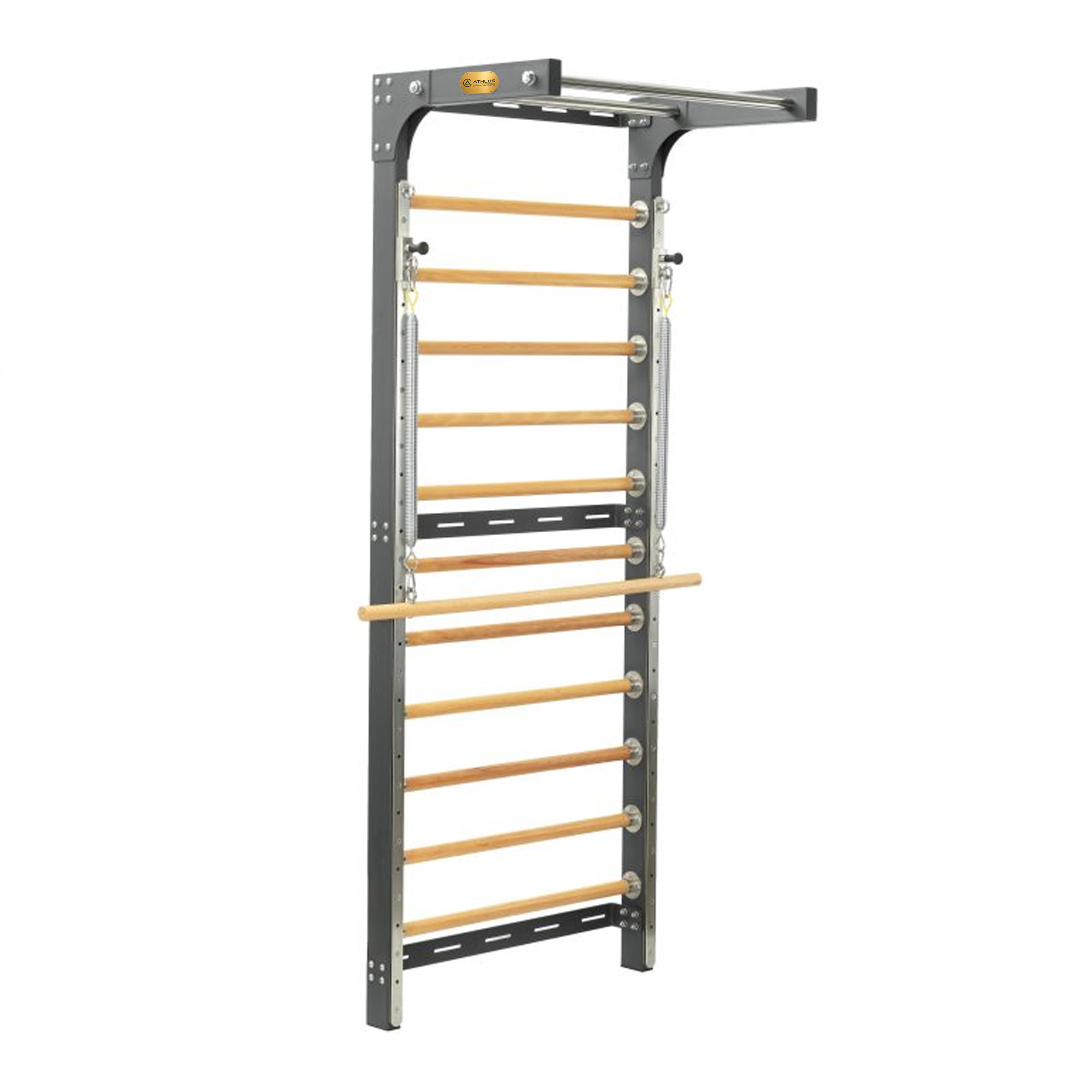 Metal Wall Ladder